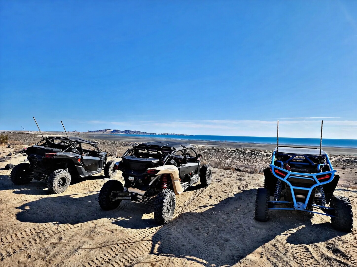 Rhino rental in Rocky Point